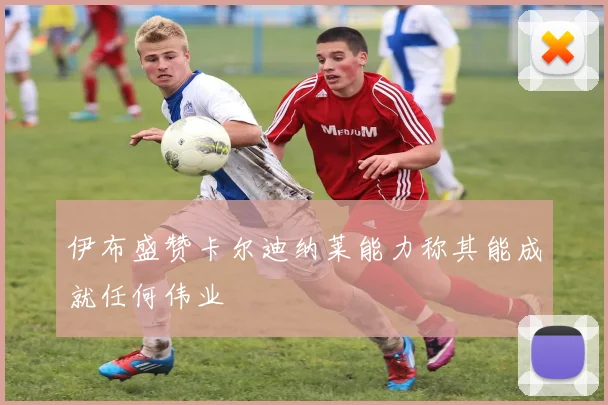 伊布盛赞卡尔迪纳莱能力称其能成就任何伟业